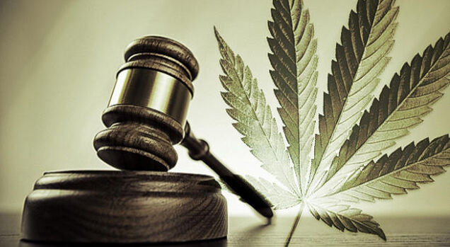 Martelo de juiz e folha de maconha simbolizando a legalização.