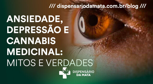 Mitos e verdades sobre cannabis medicinal
