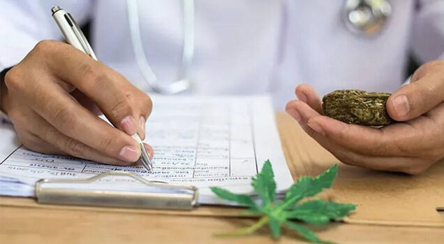 Médico escrevendo prescrição com planta de cannabis