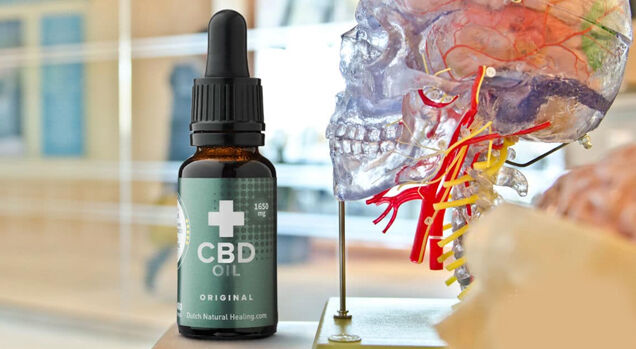 Frasco de óleo de CBD ao lado de um modelo de cabeça humana.