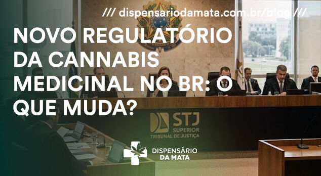 Reunião sobre regulatório da cannabis medicinal no Brasil