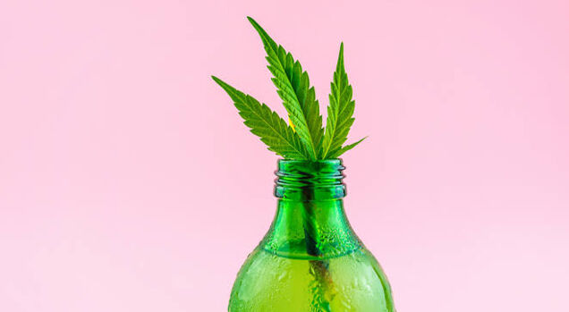 Garrafa verde com folhas de cannabis em fundo rosa